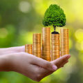 Personal Wealth Management vs Financial Planning: Understanding the Differences